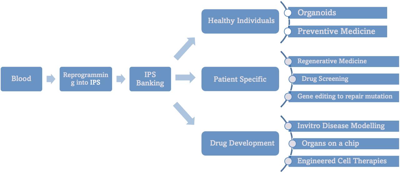 IPS uygulama akış diyagramı